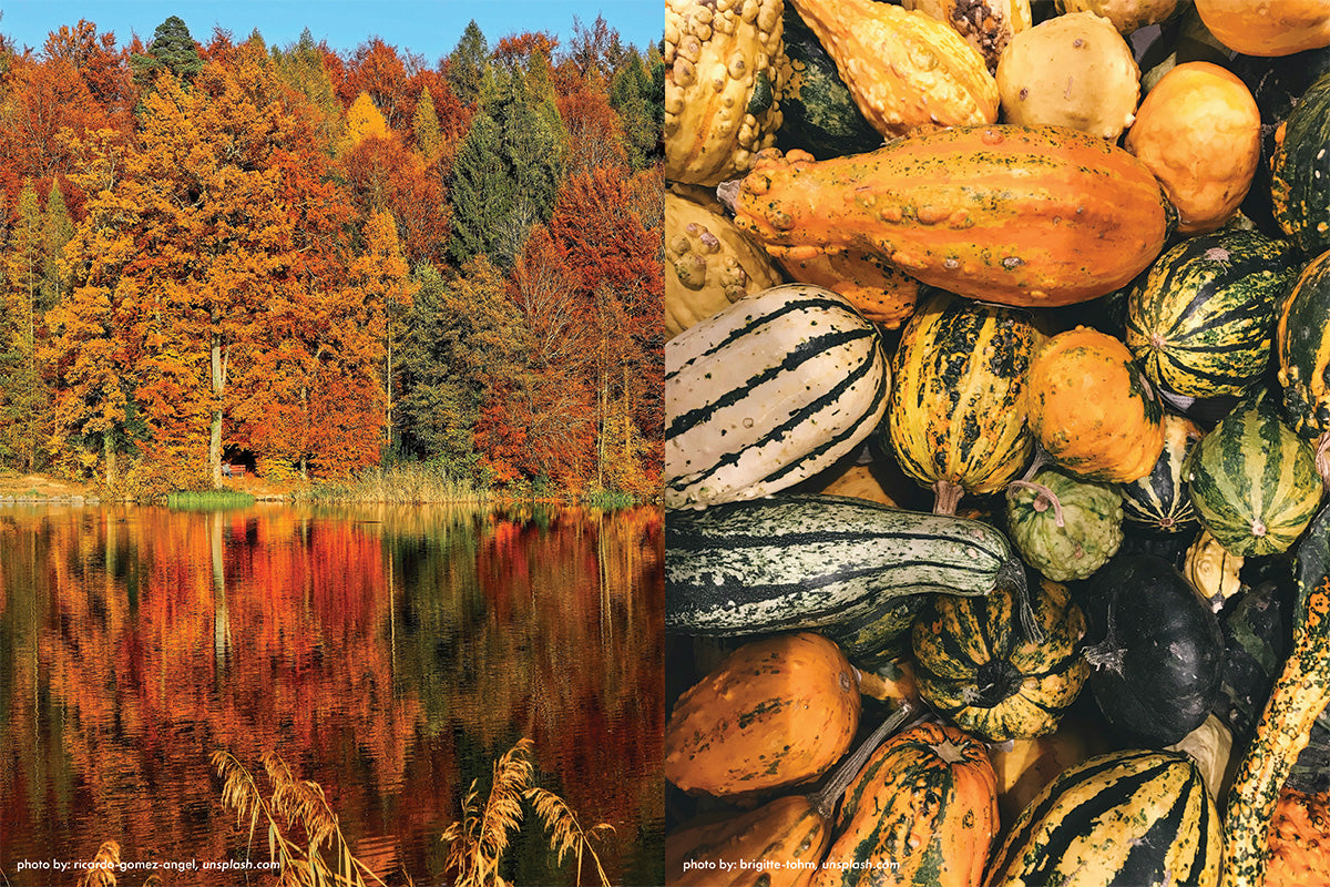 Autumn 2025 - Palette Two