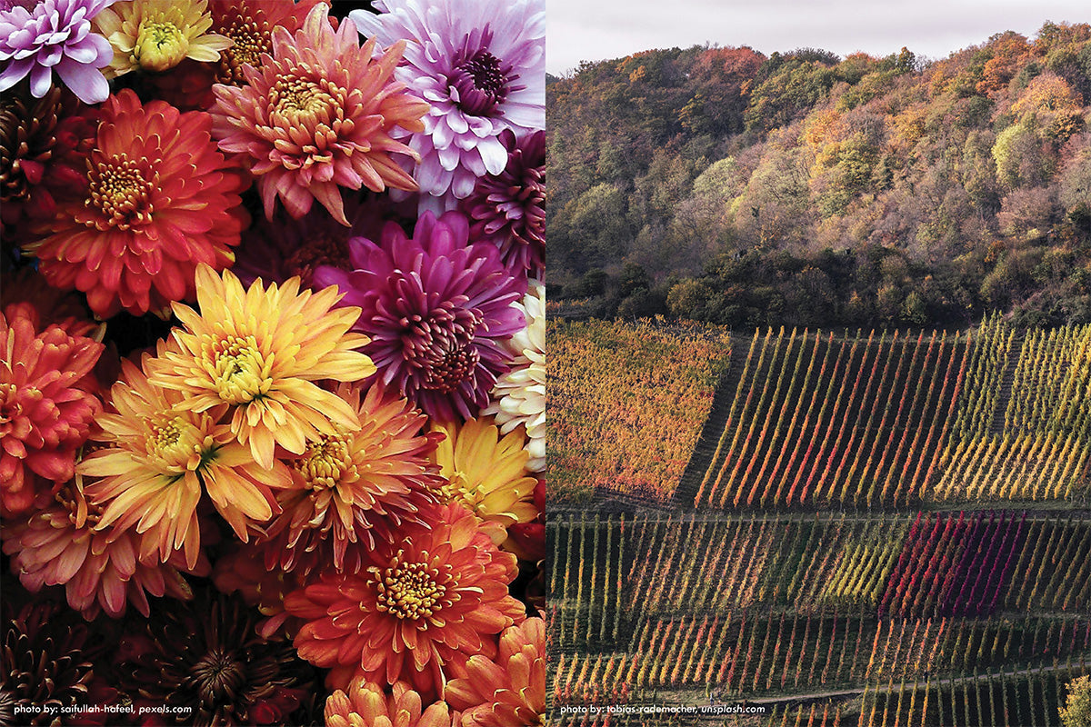 Autumn 2025 - Palette Three