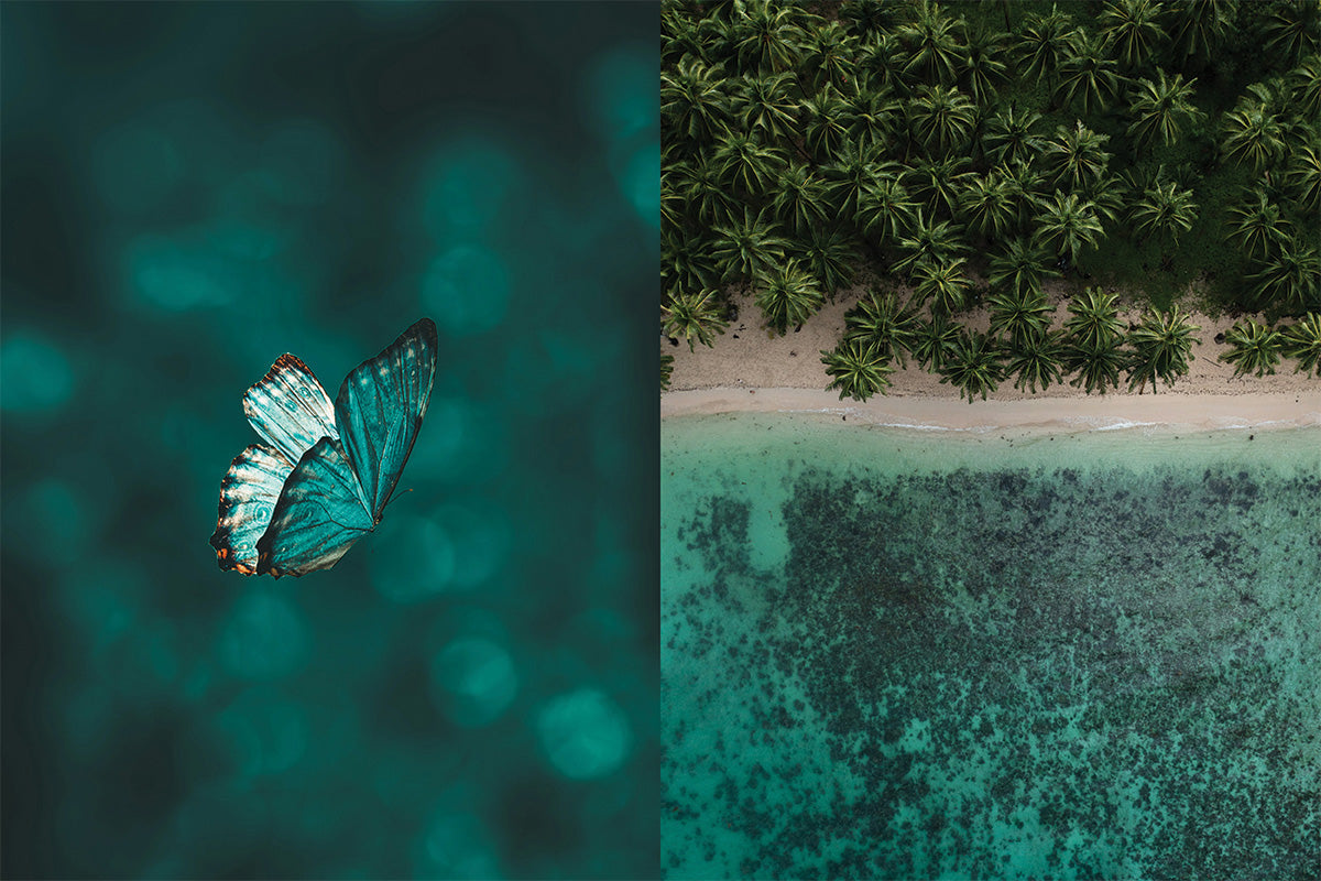 Summer 2026 - Palette Three