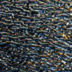 Black Opalescent, Ripple, Rainbow Iridescent, 3 mm, Fusible