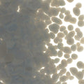 Deco Gray Opalescent, Coarse Frit, Fusible