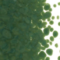 Dark Forest Green Opalescent, Coarse Frit, Fusible