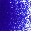 Deep Cobalt Blue Opalescent, Medium Frit, Fusible