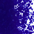 Deep Cobalt Blue Opalescent, Coarse Frit, Fusible