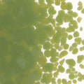 Olive Green Opalescent, Coarse Frit, Fusible