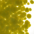 Citronelle Opalescent, Coarse Frit, Fusible