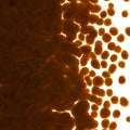 Umber Opalescent, Coarse Frit, Fusible
