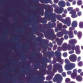 Gold Purple Opalescent, Coarse Frit, Fusible