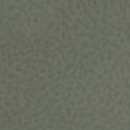 Gray Green Opalescent, Thin-rolled, 2 mm, Fusible