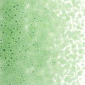 Light Green Transparent, Medium Frit, Fusible
