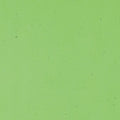 Light Green Transparent, Double-rolled, 3 mm, Color Sample, 2x2 in.