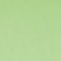Light Green Transparent, Thin-rolled, 2 mm, Color Sample, 2x2 in.