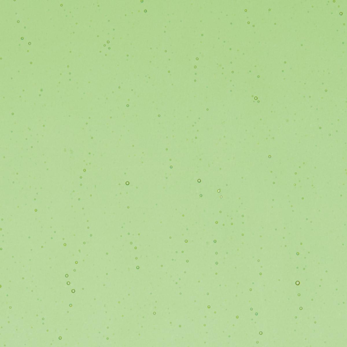 Light Green Transparent, Thin-rolled, 2 mm, Color Sample, 2x2 in.