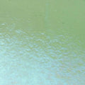 Light Green Transparent, Thin-rolled, Iridescent, rainbow, 2 mm, Fusible