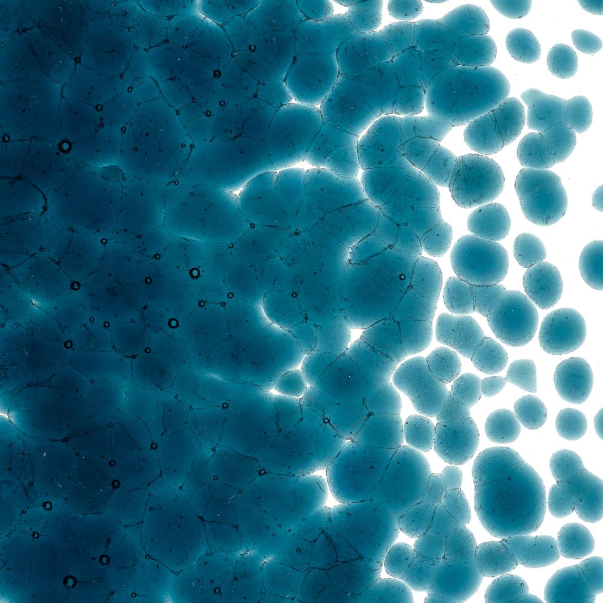 Aquamarine Blue Transparent, Coarse Frit, Fusible