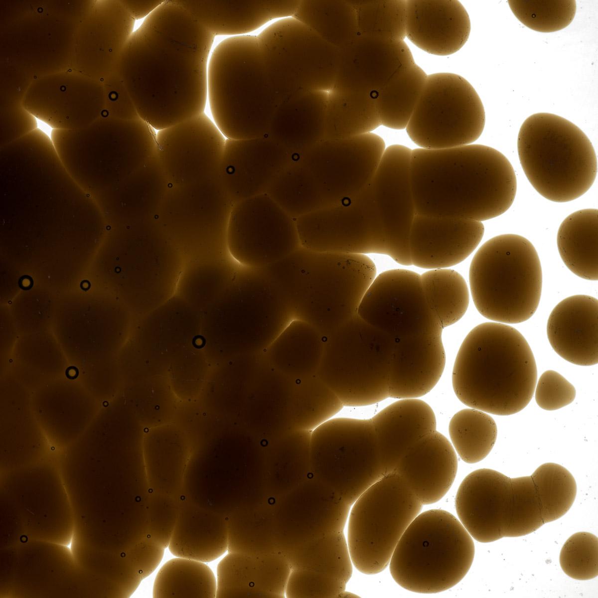 Dark Rose Brown Transparent, Coarse Frit, Fusible