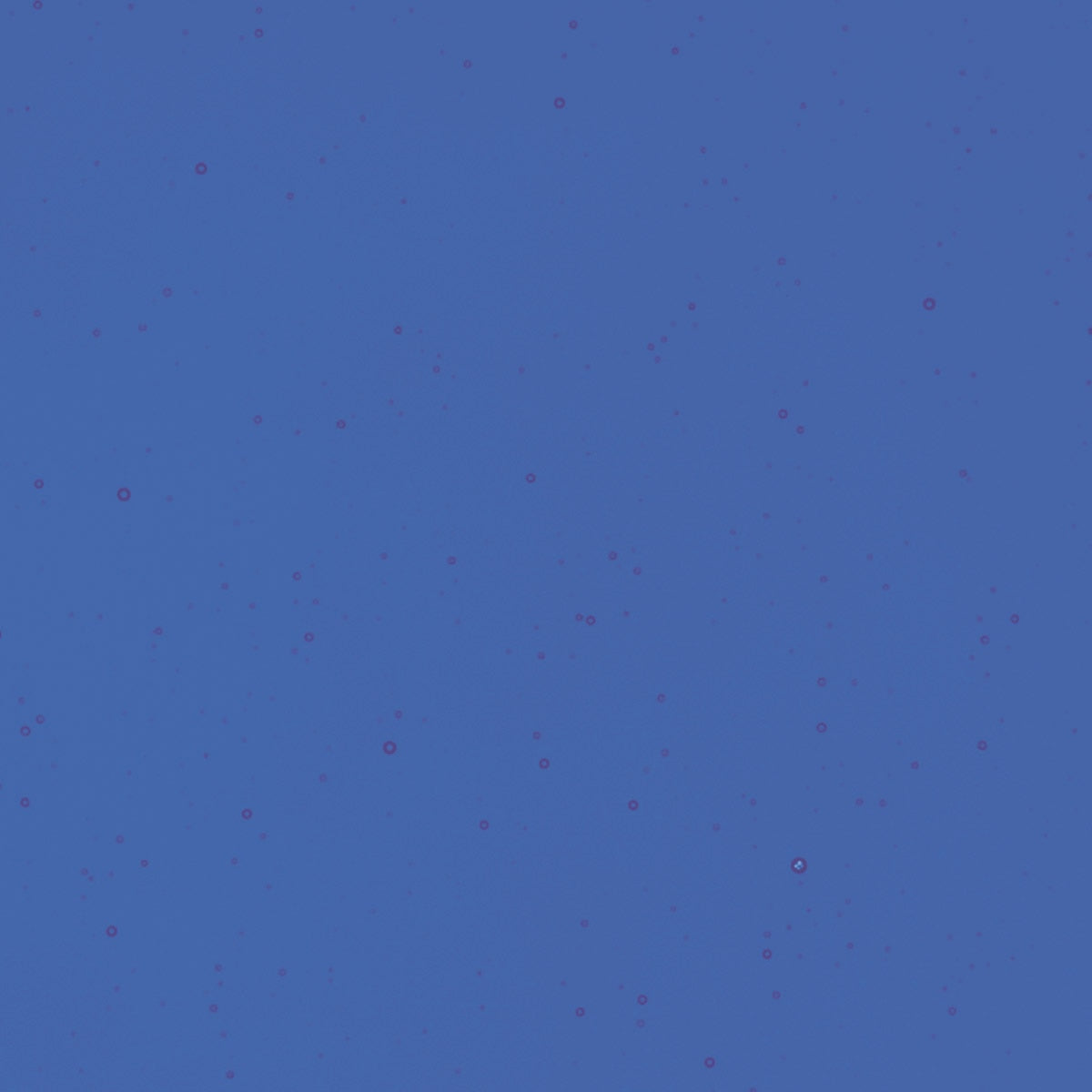 Deep Royal Blue Transparent, Thin-rolled, 2 mm, Color Sample, 2x2 in.