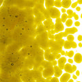 Chartreuse Transparent, Coarse Frit, Fusible