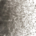 Charcoal Gray Transparent, Medium Frit, Fusible