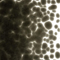 Charcoal Gray Transparent, Coarse Frit, Fusible