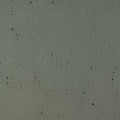 Charcoal Gray Transparent, Double-rolled, 3 mm, Color Sample, 2x2 in.