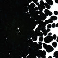 Aventurine Blue Transparent, Coarse Frit, Fusible