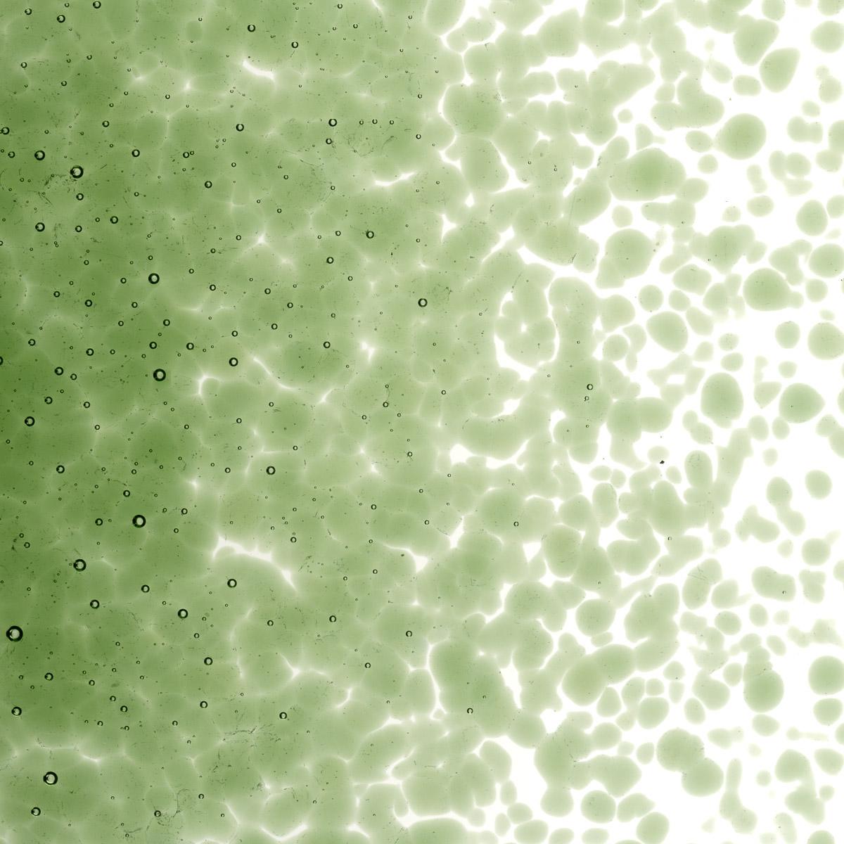 Olive Green Transparent, Medium Frit, Fusible