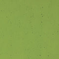 Olive Green Transparent, Double-rolled, 3 mm, Color Sample, 2x2 in.