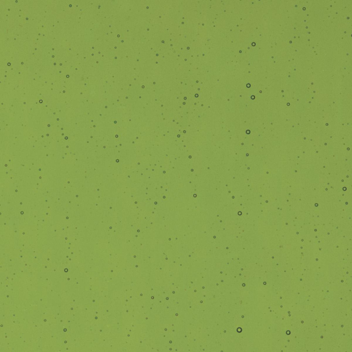Olive Green Transparent, Double-rolled, 3 mm, Color Sample, 2x2 in.