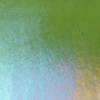 Olive Green Transparent, Thin-rolled, Iridescent, rainbow, 2 mm, Color Sample, 2x2 in.