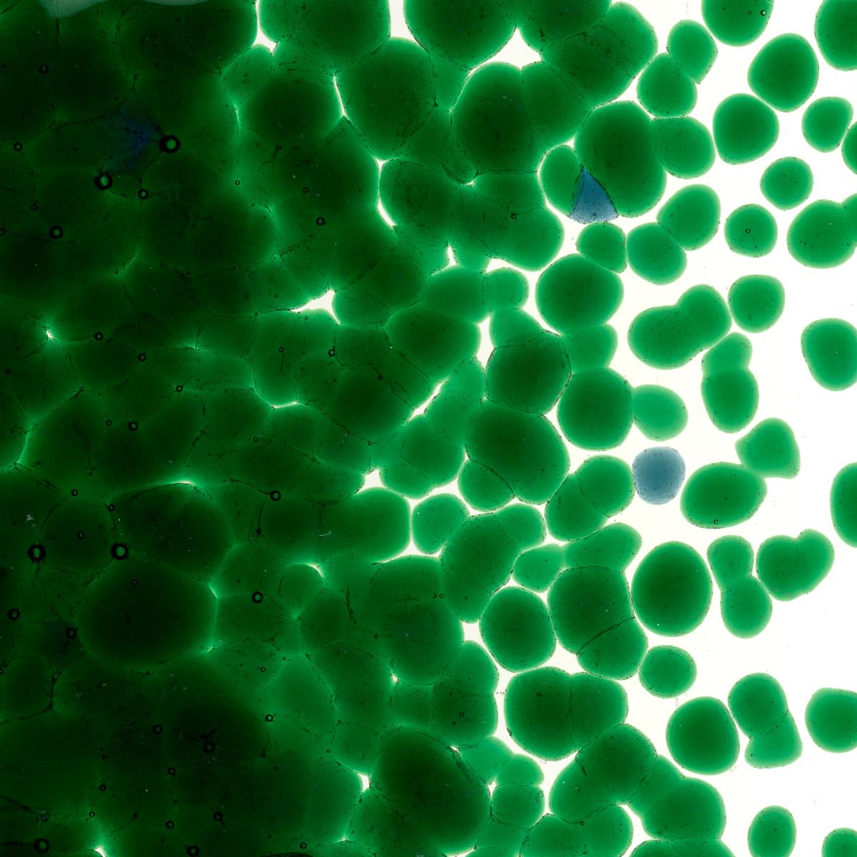 Kelly Green Transparent, Coarse Frit, Fusible