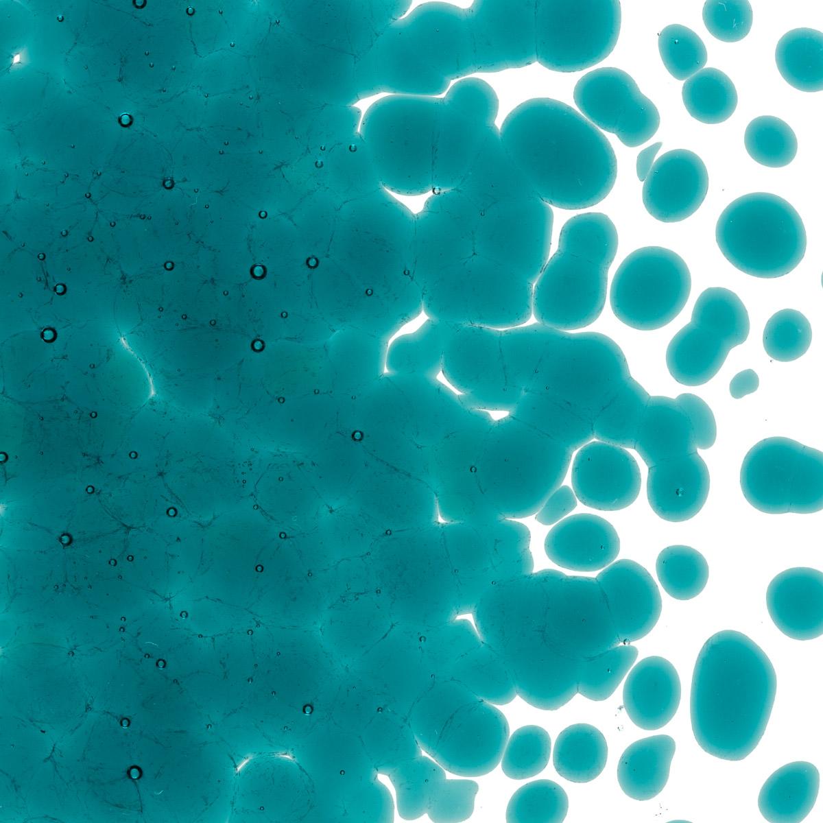 Peacock Blue Transparent, Coarse Frit, Fusible