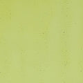 Fern Green Transparent, Thin-rolled, 2 mm, Color Sample, 2x2 in.