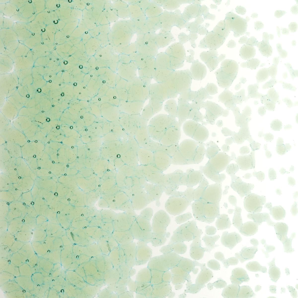 Leaf Green Transparent, Medium Frit, Fusible