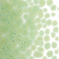 Leaf Green Transparent, Coarse Frit, Fusible