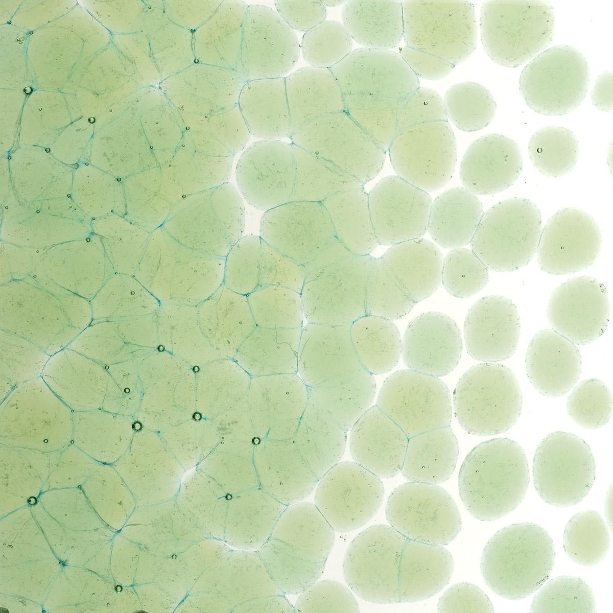 Leaf Green Transparent, Coarse Frit, Fusible