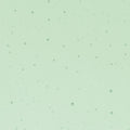 Leaf Green Transparent, Thin-rolled, 2 mm, Color Sample, 2x2 in.
