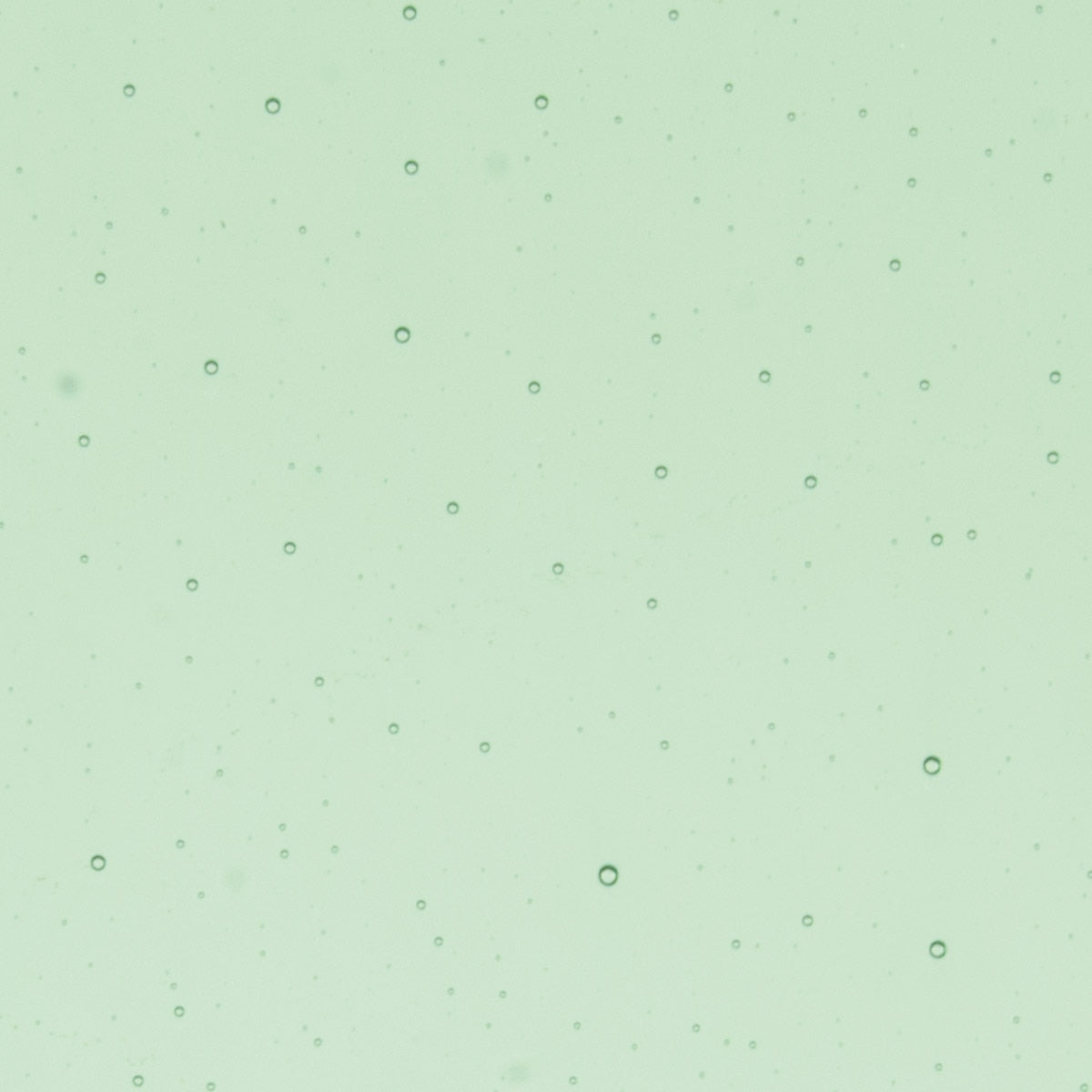 Leaf Green Transparent, Thin-rolled, 2 mm, Color Sample, 2x2 in.