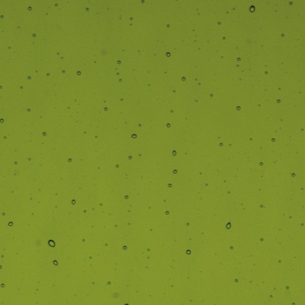 Lily Pad Green Transparent, Double-rolled, 3 mm, Color Sample, 2x2 in.