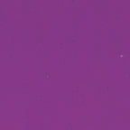 Violet Striker Transparent, Double-rolled, 3 mm, Fusible