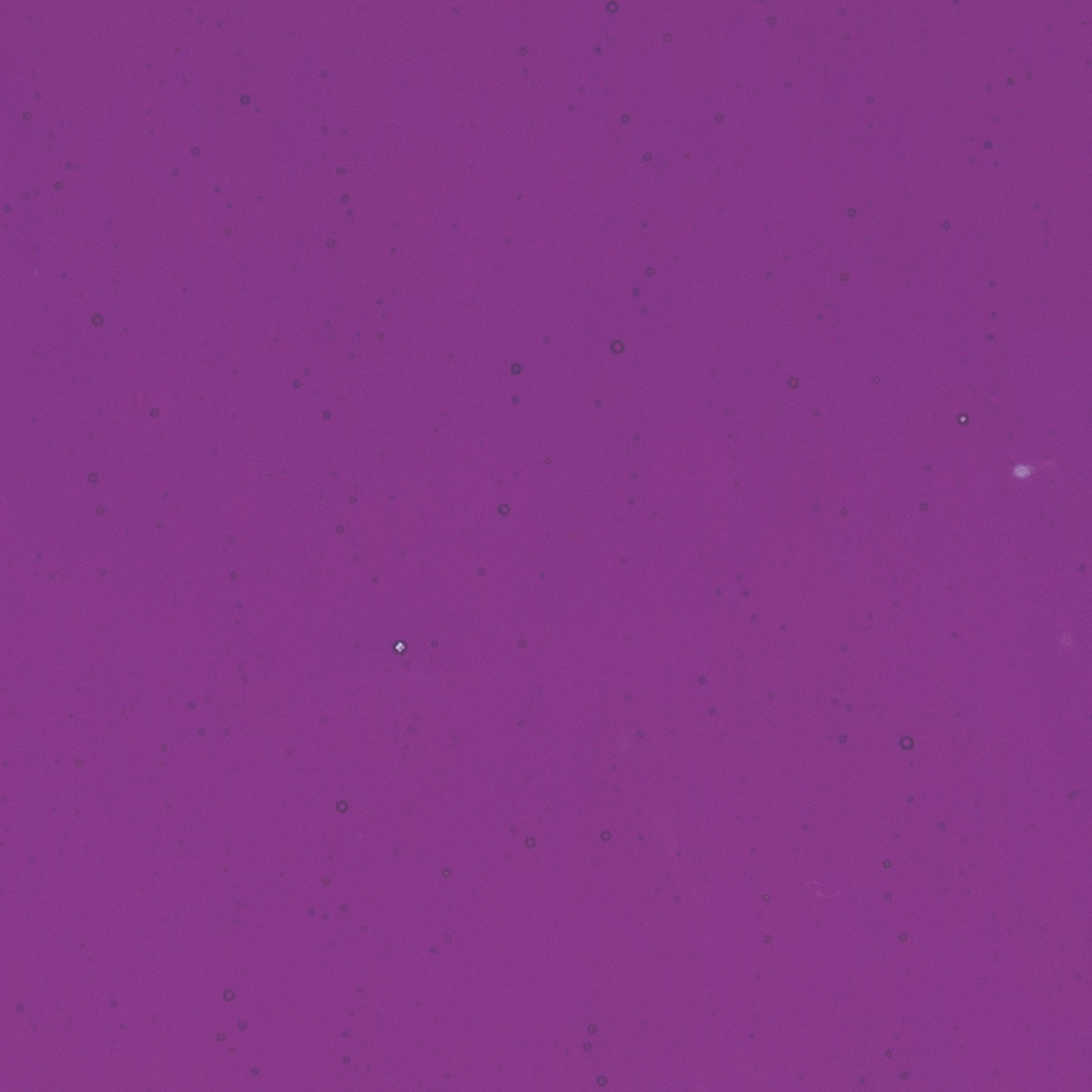 Violet Striker Transparent, Double-rolled, 3 mm, Fusible