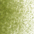 Pine Green Transparent, Medium Frit, Fusible