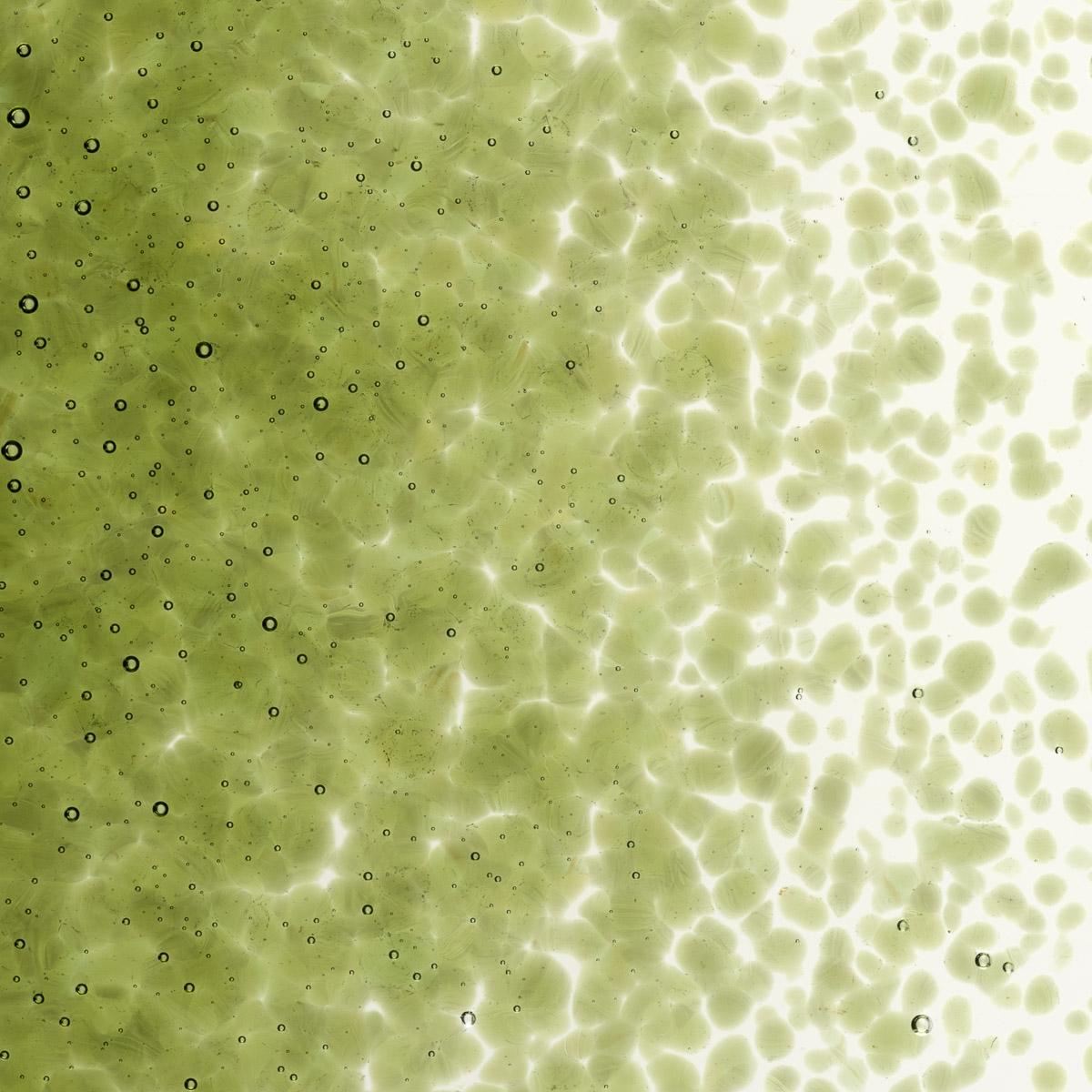 Pine Green Transparent, Medium Frit, Fusible