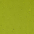 Pine Green Transparent, Double-rolled, 3 mm, Color Sample, 2x2 in.