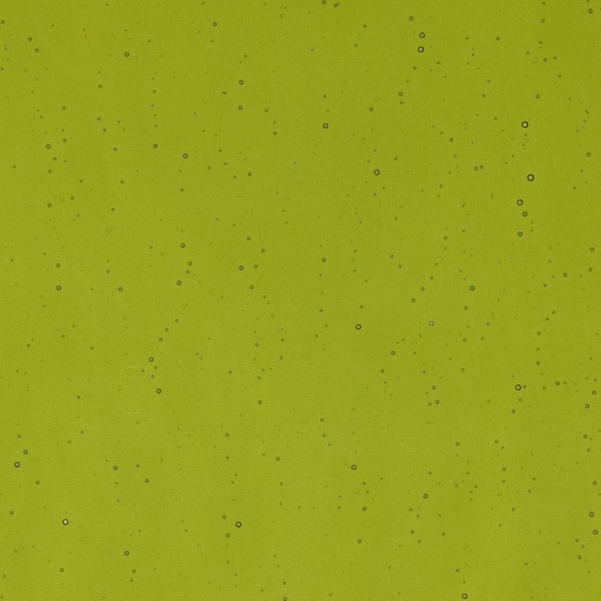 Pine Green Transparent, Double-rolled, 3 mm, Color Sample, 2x2 in.