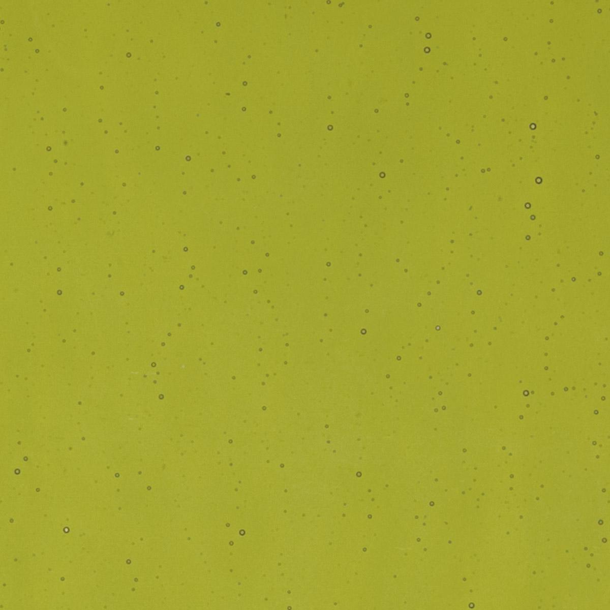 Pine Green Transparent, Thin-rolled, 2 mm, Color Sample, 2x2 in.