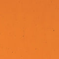 Sunset Coral Transparent, Double-rolled, 3 mm, Fusible