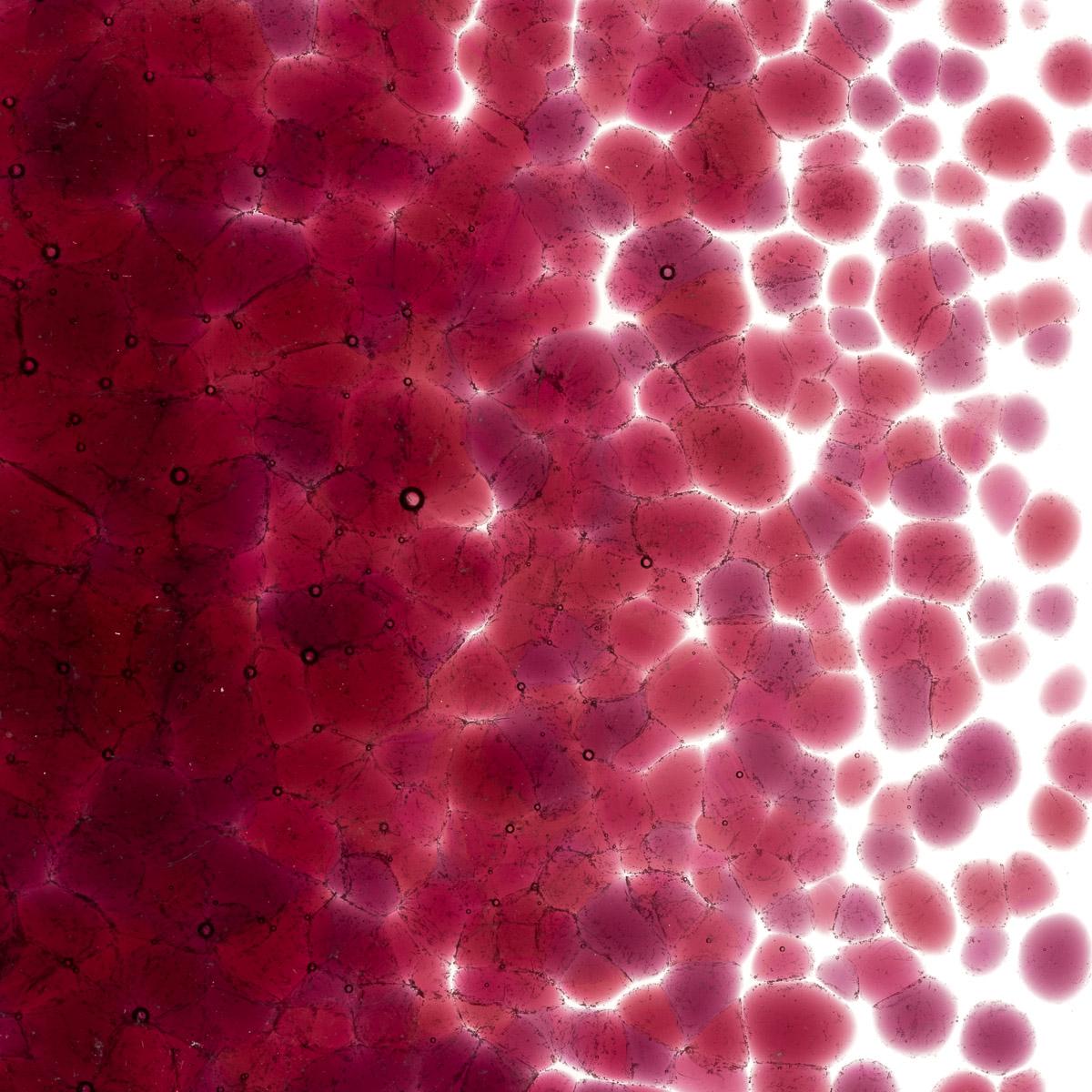 Cranberry Pink Transparent, Coarse Frit, Fusible