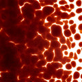Carnelian Transparent, Coarse Frit, Fusible