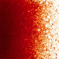 Garnet Red Transparent, Fine Frit, Fusible